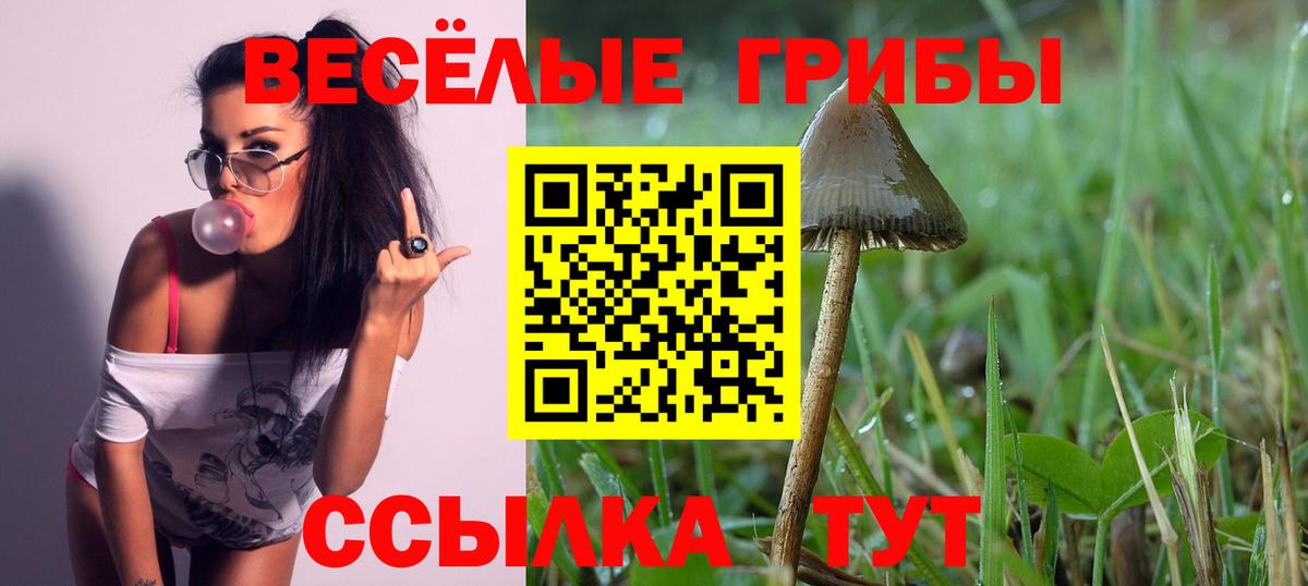 Галлюциногенные грибы Magic Shrooms Орёл